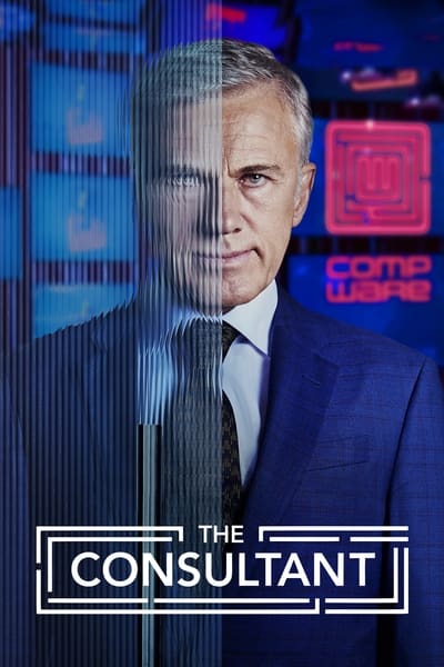 Le Consultant - Saison 1